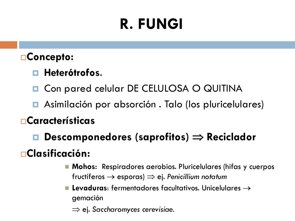 diferencia entre descomponedores mutualistas y parasitarios diferencia entre descomponedores mutualistas y parasitarios